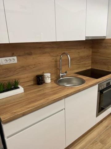 Centar Ns 5 Appartement Novi Sad Buitenkant foto