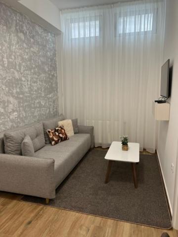 Centar Ns 5 Appartement Novi Sad Buitenkant foto
