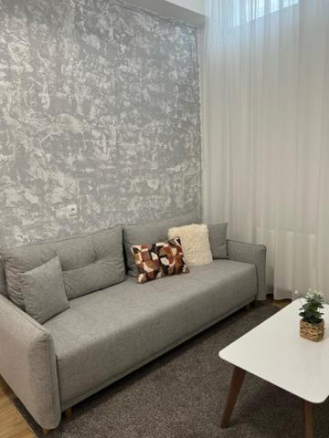 Centar Ns 5 Appartement Novi Sad Buitenkant foto